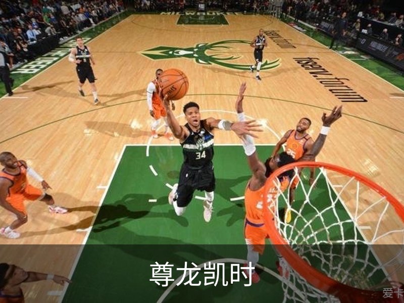 尊龙凯时概况